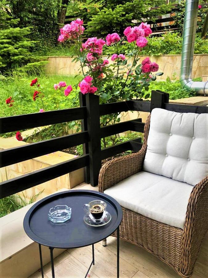 Casa Varful Cu Dor 시나이아 외부 사진